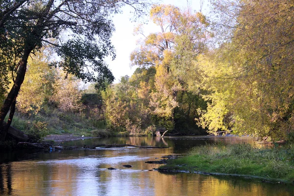 Осінній Пейзаж Дзеркалоподібна Поверхня Річки Пожовтіння Дерев Березі Сонячний День — стокове фото
