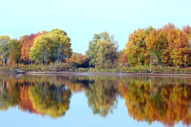 Rengarenk ağaçların sonbahar manzarası bulutlu bir günde sakin nehrin aynalı yüzeyine yansıyor.