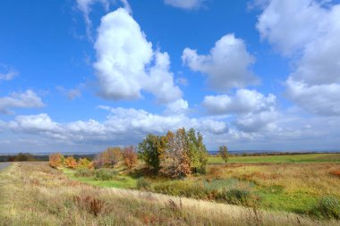 Resmedilmeye değer sonbahar manzarası mavi gökyüzünde güzel beyaz bulutlar ve güneşli bir günde yaprakları renkli ağaçlar.