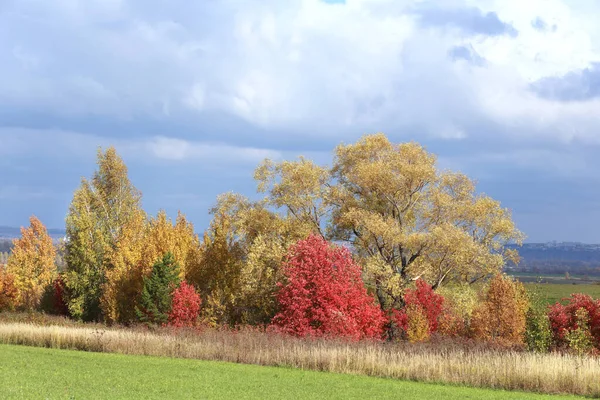 Malowniczy Jesienny Krajobraz Piękne Białe Chmury Błękitnym Niebie Nad Polem — Zdjęcie stockowe