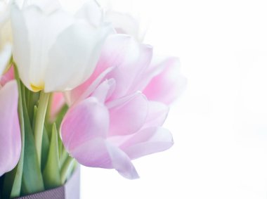 Güzel buket laleler açık pembe ve beyaz çiçekler 8 Mart için ya da anneniz için ve mükemmel arka plan yakın çekim makrosu için