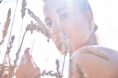 Buğday fidesinin üzerinde poz veren Belaruslu kız çok güzel ve çok güzel.