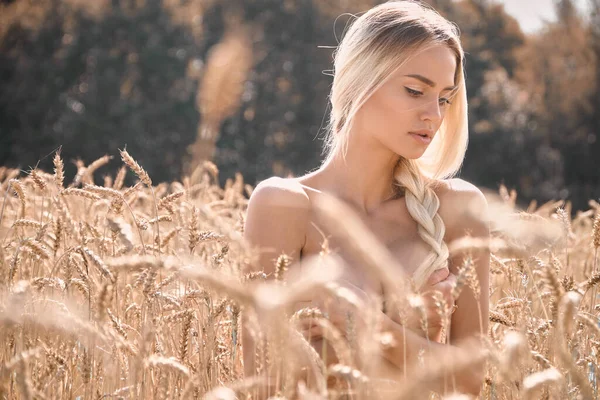 Białoruska Dziewczyna Pozowanie Filad Pszenicy Tak Ładne Tak Beautifu — Zdjęcie stockowe