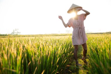 Kırsal kesim şapkalı güzel kız, Asya 'nın tarla manzaralı pirinç topluyor. Sarı saçlı, pirinç tarlasında çalışıyor. Bali' de temiz doğa, sağlıklı ekoloji turizmi.