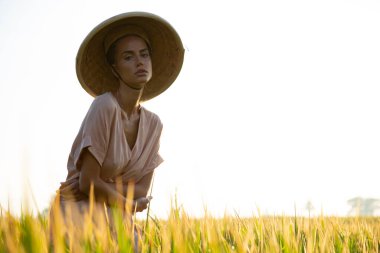 Kırsal kesim şapkalı güzel kız, Asya 'nın tarla manzaralı pirinç topluyor. Sarı saçlı, pirinç tarlasında çalışıyor. Bali' de temiz doğa, sağlıklı ekoloji turizmi.