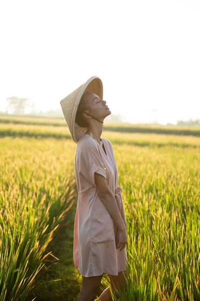 Hermosa Chica Sombrero Rural Recoge Arroz Vista Campo Provincia Asia —  Fotos de Stock