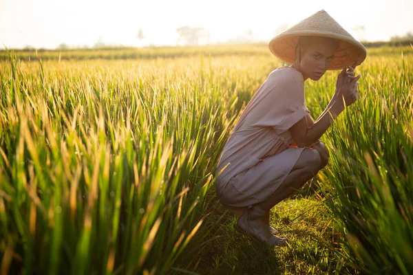 Hermosa Chica Sombrero Rural Recoge Arroz Vista Campo Provincia Asia —  Fotos de Stock