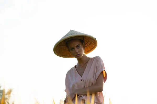 Hermosa Chica Sombrero Rural Recoge Arroz Vista Campo Provincia Asia —  Fotos de Stock