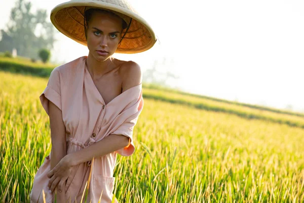 Hermosa Chica Sombrero Rural Recoge Arroz Vista Campo Provincia Asia —  Fotos de Stock