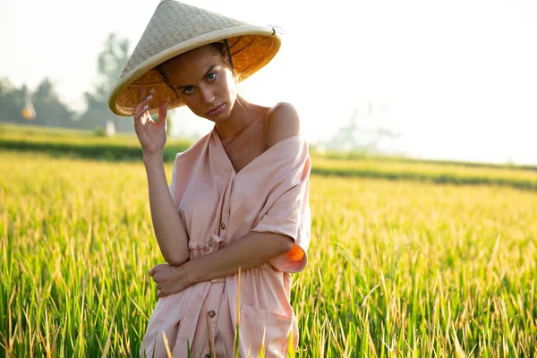 Hermosa Chica Sombrero Rural Recoge Arroz Vista Campo Provincia Asia —  Fotos de Stock