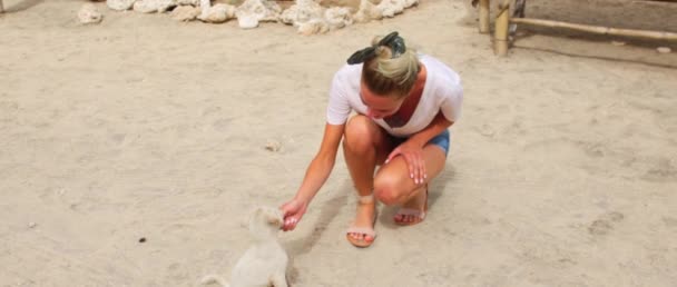 Abbronzato Ragazza Gioca Con Piccolo Cucciolo Spiaggia — Video Stock