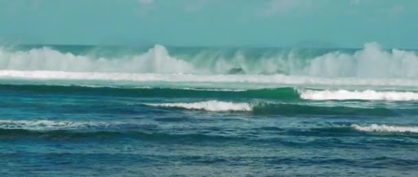 ビーチビューからの海の潮の晴れた日に信じられないほどの力で非常に巨大な波が高速で来て成長します — ストック動画