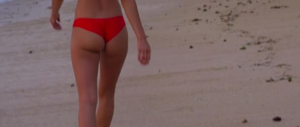Ładny Sexy Dziewczyna Pupą Spacer Plaży Zachód Słońca Bardzo Jasne — Wideo stockowe