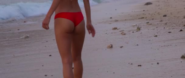 Pěkný Sexy Dívka Zadek Procházka Pláži Při Západu Slunce Velmi — Stock video