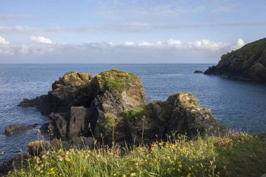 Cadgwith Cove, Cornwall, İngiltere