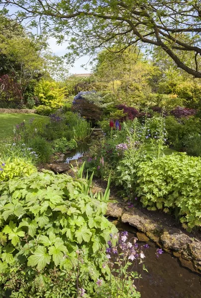 Cotswold cottage garden med stream, England — Stockfoto