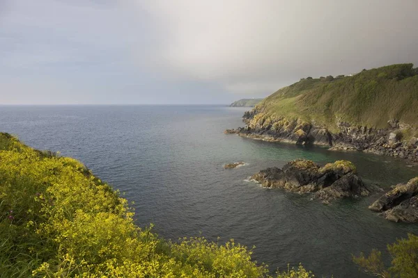 Mirando por encima de la boca de Cadgwith Cove, Cornwall, Inglaterra — Foto de Stock