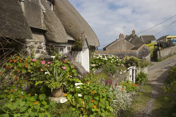 Thatched cottages at Cadgwith Cove, Cornwall, England — Stock Photo, Image