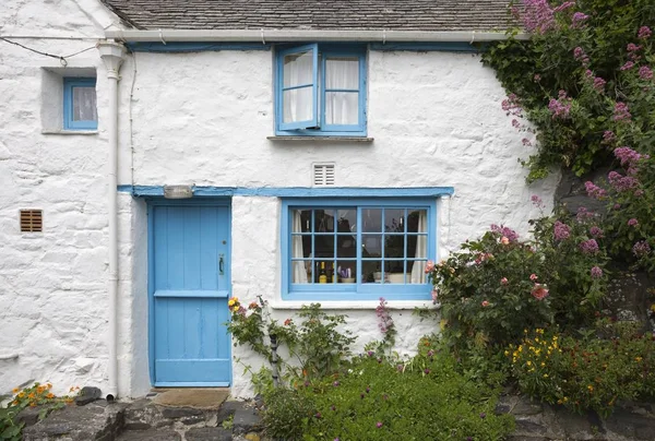 Weiß gewaschenes, steinernes Ferienhaus umgeben von rotem Baldrian, Kadgwith, Maismauer, England — Stockfoto