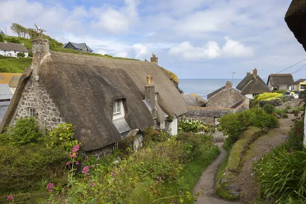 Thatched cottages adlı Cadgwith Cove, Cornwall, İngiltere Telifsiz Stok Imajlar