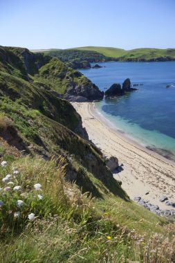 Kıyı şeridi tarafından umut Cove, Devon, İngiltere