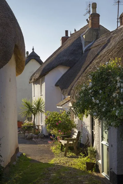 Kryte strzechą domki w Inner Hope, Hope Cove, Devon, Anglia — Zdjęcie stockowe