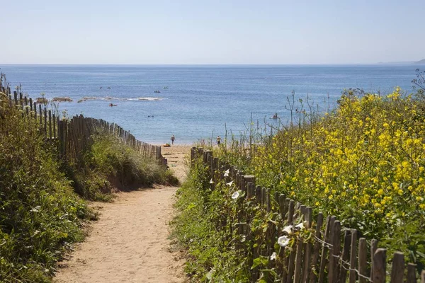 Plaj yolu Thurlestone Bay, Devon, İngiltere Stok Resim