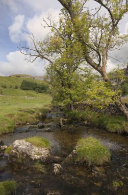 Malham Beck Malham Cove