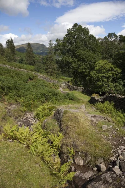 Paesaggio vicino Grasmere — Foto Stock