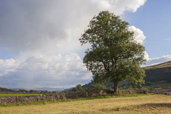 Paesaggio nella valle del Wharfedale, Yorkshire — Foto Stock