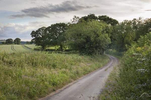 安静的车道，科茨沃尔德英格兰 — 图库照片