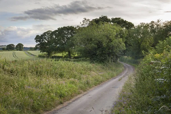 Sessiz lane, Cotswolds, İngiltere — Stok fotoğraf