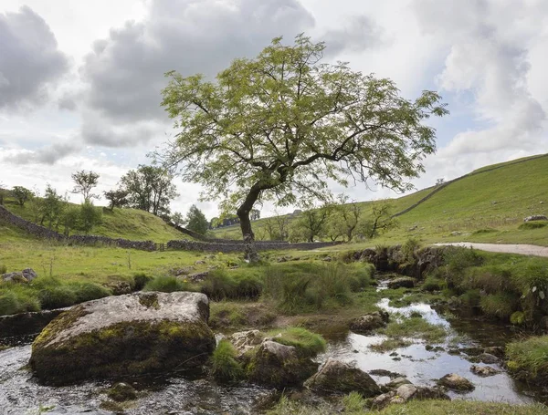 Malham Beck em Malham Cove — Fotografia de Stock