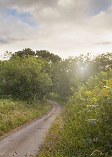 En Cotswold lane — Stockfoto