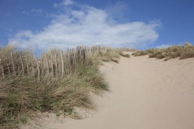 Kum tepeleri, Devon, İngiltere