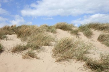 Kum tepeleri, Devon, İngiltere
