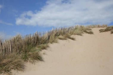Kum tepeleri, Devon, İngiltere