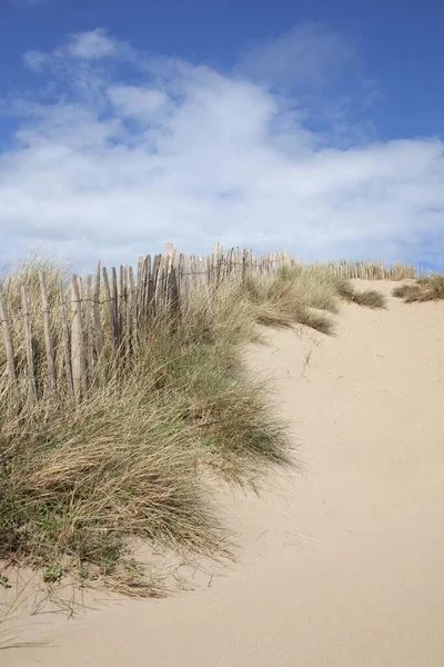 Sand Dunes, Devon, Inglaterra — Fotografia de Stock