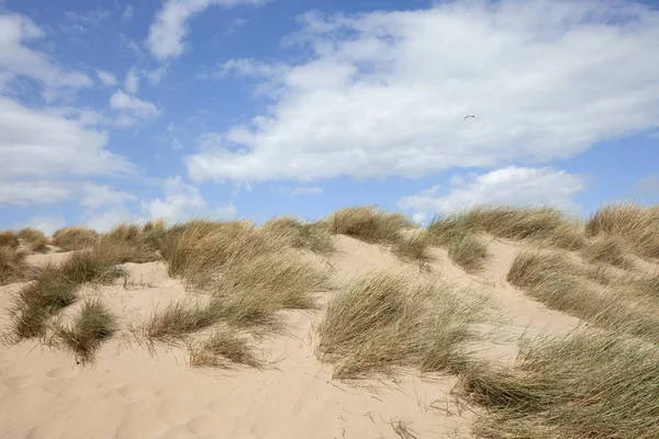 Sand Dunes, Devon, Engeland — Stockfoto