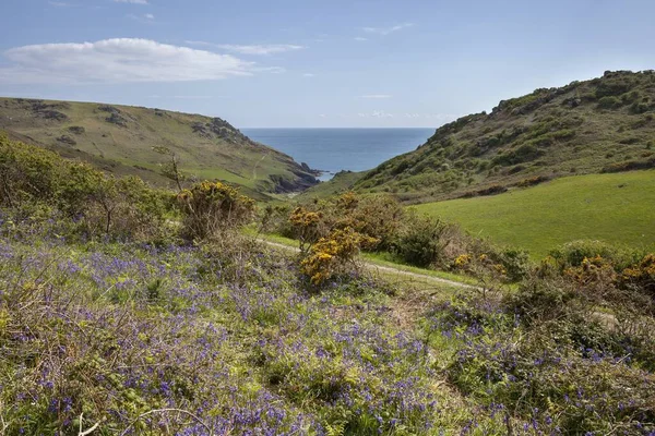 Soar Mill Cove, Devon, Inglaterra — Foto de Stock