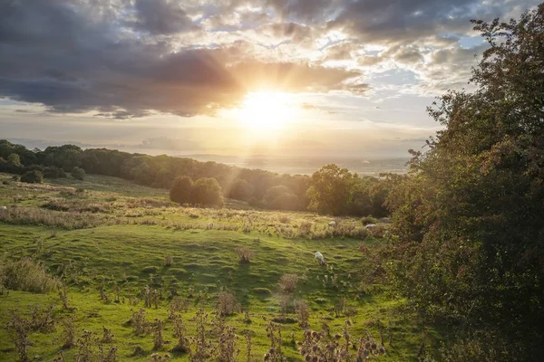 日落在英格兰格洛斯特郡Cotswolds的Chipping Campden附近的多佛山上 — 图库照片