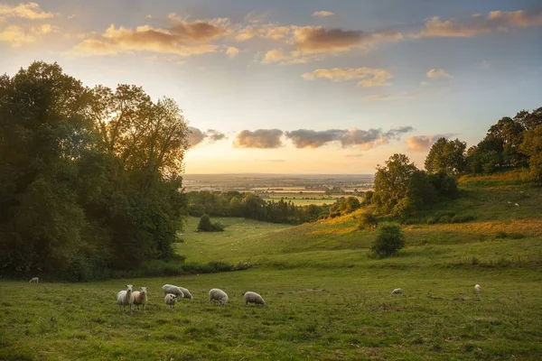 Pôr do sol em Saintbury perto de Chipping Campden, Cotswolds, Gloucestershire, Inglaterra — Fotografia de Stock