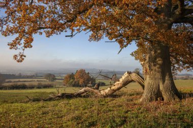 Chipping Campden, Cotswold, Gloucestershire, İngiltere 'ye doğru bakın.