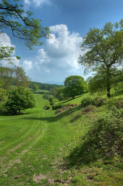 A Trilha Herefordshire perto do Castelo de Richards, Inglaterra . — Fotografia de Stock