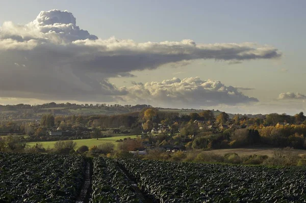 View towards Ebrington, Cotswolds, Gloucestershire, England — Stock Photo, Image