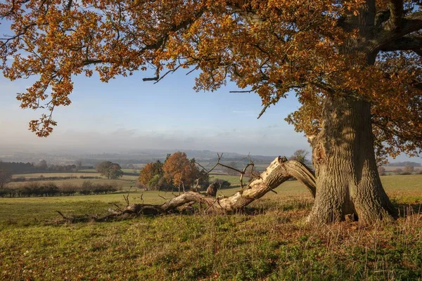 Vista para Chipping Campden, Cotswolds, Gloucestershire, Inglaterra — Fotografia de Stock