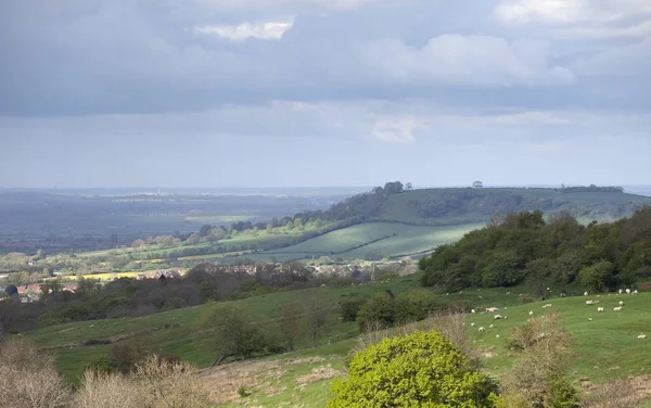 Vista para Meon Hill, Cotswolds rural, Gloucestershire, Inglaterra — Fotografia de Stock