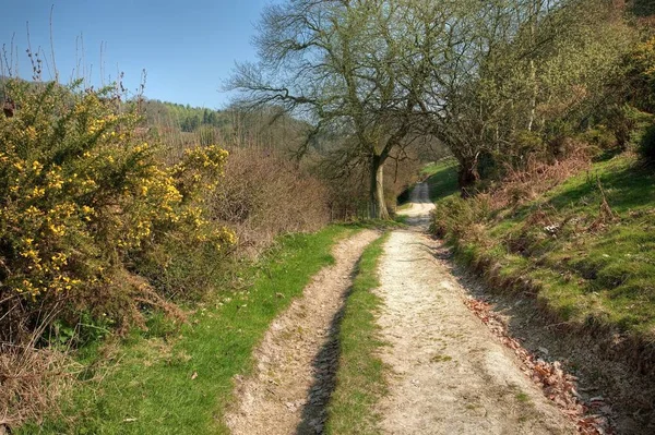 Promenade sur le sentier Herefordshire vers le château de Richard Photo De Stock