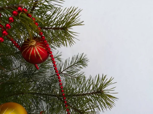 Kar arka planında Noel ve Yeni Yıl dekorasyonu, metin için yer
