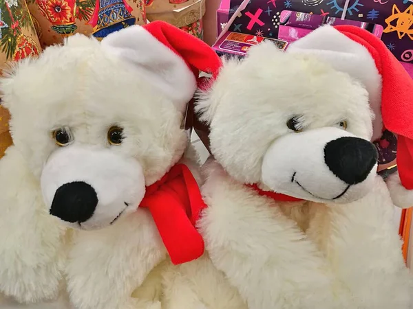 Noel Baba şapkalı kutup ayıları.